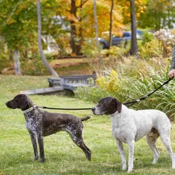 Orvis Leashes|Adjustable Two-Dog Leash Black