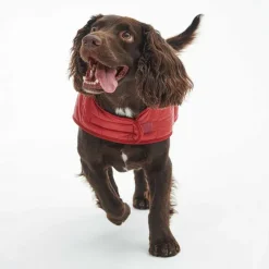 Orvis Dog Jackets|Barbour® Baffle Dog Jacket Red