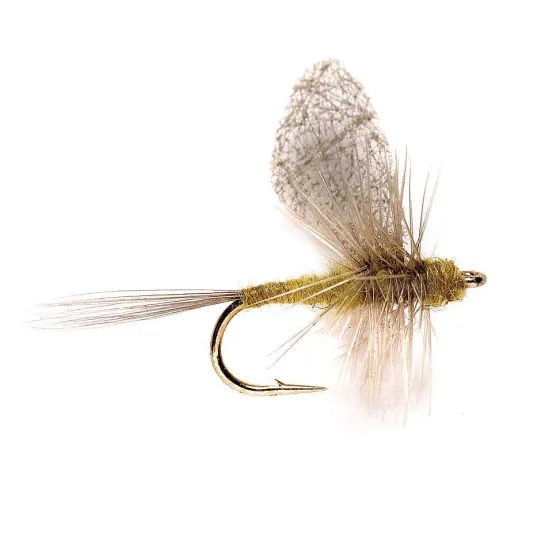 Orvis Dry Flies|Cripple Dun Bwo
