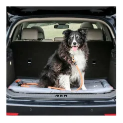 Orvis Crates & Crate Pads|Deluxe Crate Bed