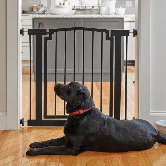 Orvis Gates & Dog Doors|Easy-Mount Doorframe Gate - Doorway