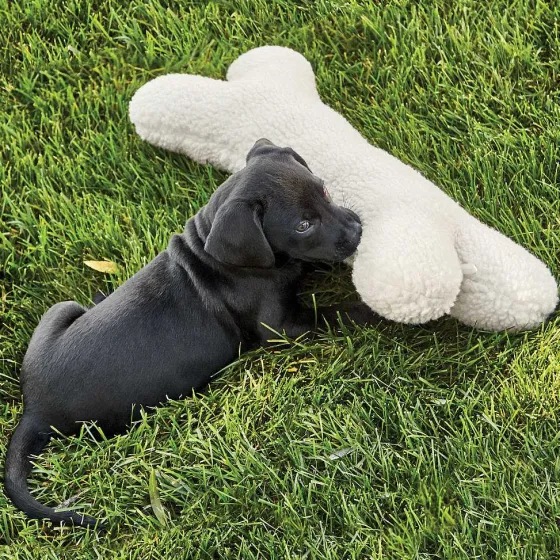 Orvis Toys|Fleece Dog Bone