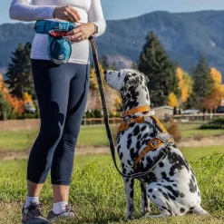 Orvis Treats|Go Stuff It Treat Bag Navy