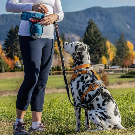 Orvis Treats|Go Stuff It Treat Bag Navy