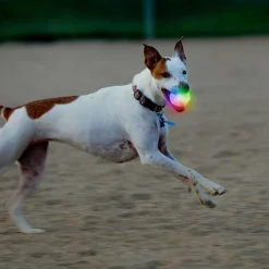 Orvis Toys|Led Ball
