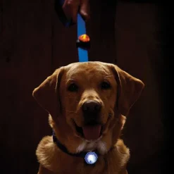 Orvis Collars|Led Safety Collar Light Clear