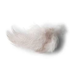 Orvis Materials|Mallard Duck Side Feathers