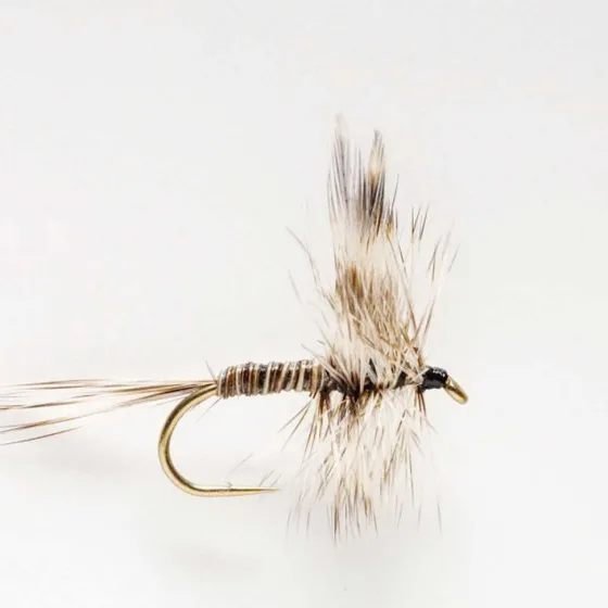 Orvis Dry Flies|Mosquito Dry Fly