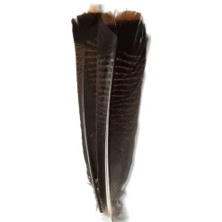 Orvis Materials|Mottled Turkey Feathers Dark