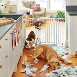 Orvis Gates & Dog Doors|One-Touch Pet Gate