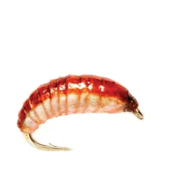 Orvis Nymphs|Ooey Gooey Grub