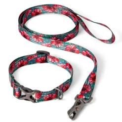 Orvis Collars| X Fishe® Wear Collar