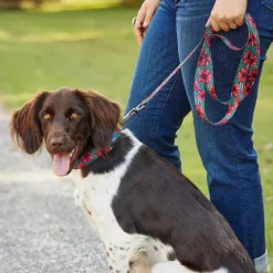 Orvis Collars| X Fishe® Wear Collar
