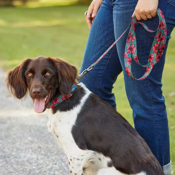 Orvis Collars| X Fishe® Wear Collar