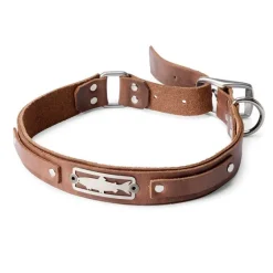 Orvis Collars| X Sight Line Provisions Dog Collar Brown