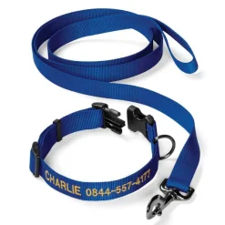 Orvis Collars|Personalized Adjustable Dog Collar With Leash Blue