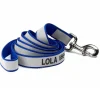 Orvis Leashes|Reflective 6' Leash Blue