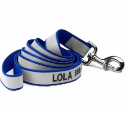 Orvis Leashes|Reflective 6' Leash Blue