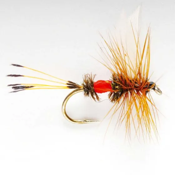 Orvis Dry Flies|Royal Coachman