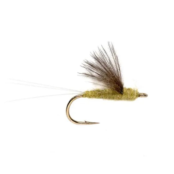 Orvis Dry Flies|Rs2 Palemorndn