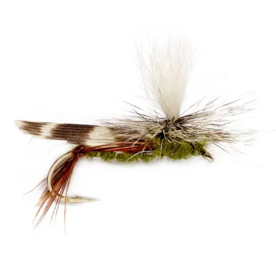 Orvis Dry Flies|Schroeder'S Parachute Hopper Olive