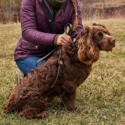 Orvis Collars|Shotshell Dog Collar