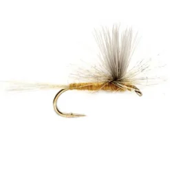 Orvis Dry Flies|Sulphur Parachute