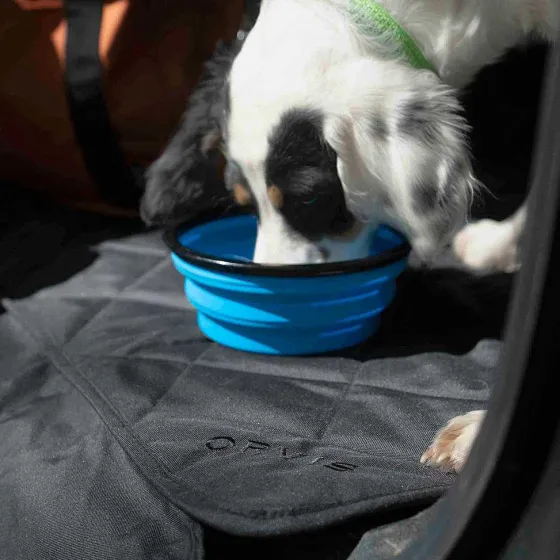 Orvis Travel Accessories|Tough Trail® Collapsible Dog Bowl Blue