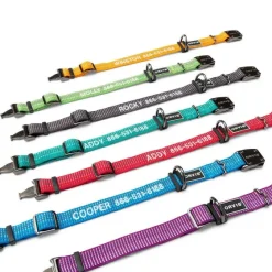 Orvis Collars|Tough Trail® Dog Collar