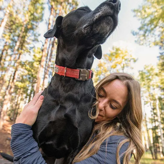 Orvis Collars|Tough Trail® Dog Collar