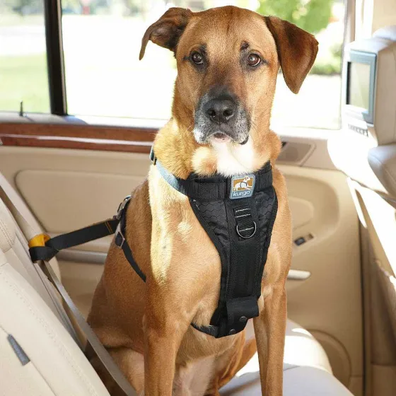 Orvis Travel Accessories|Tru-Fit Smart Harness Car Restraint Black