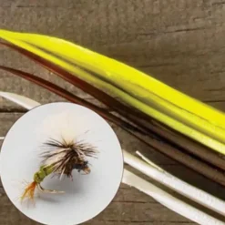 Orvis Materials|Turkey Biots