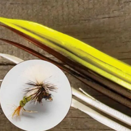 Orvis Materials|Turkey Biots